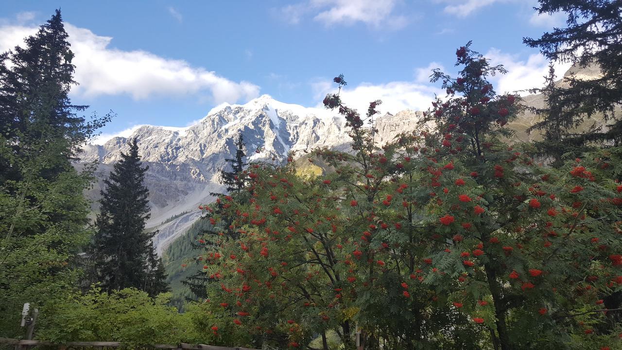 Gasthof Waldruhe Зольда Экстерьер фото