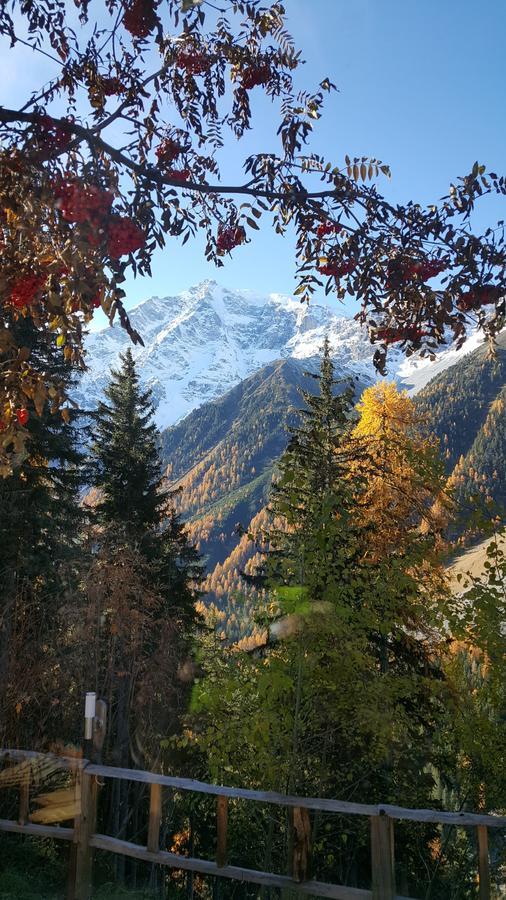 Gasthof Waldruhe Зольда Экстерьер фото