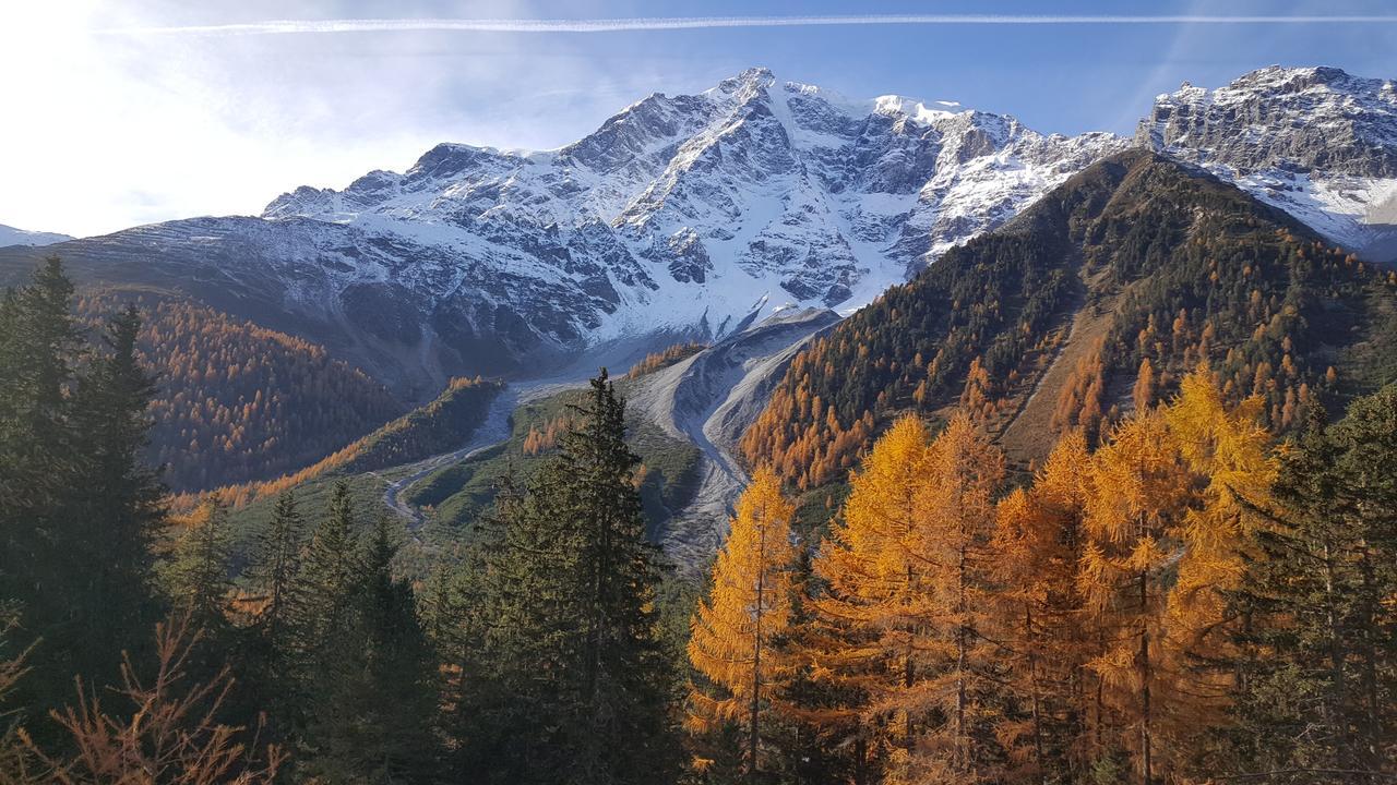 Отель Gasthof Waldruhe Зольда Экстерьер фото